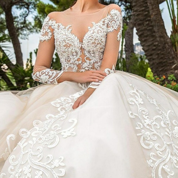 Gorgeous lace applique organza wedding gown - Picture 3 of 6